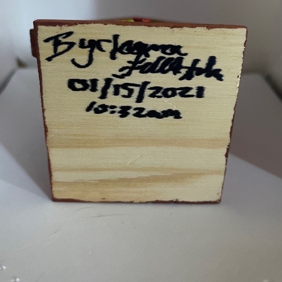 New Hand Painted & Handcrafted Double Hole Custom Birdhouse Home Decor - Picture 10 of 15